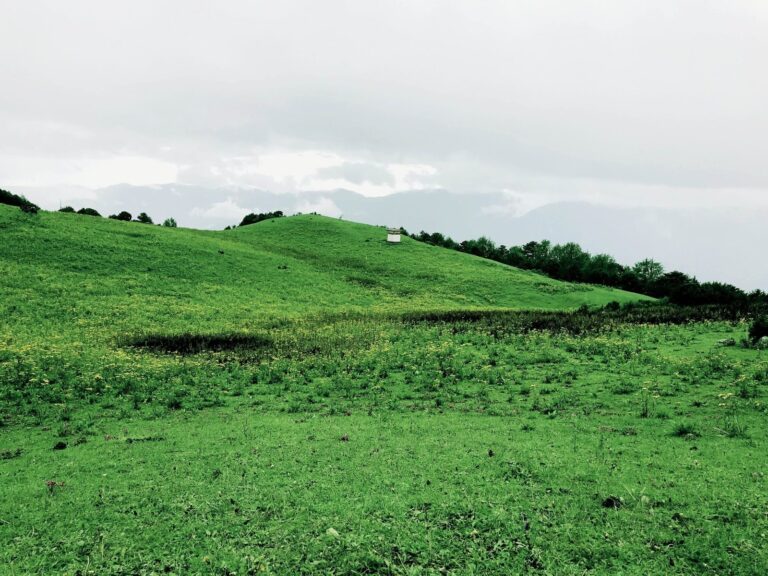 Bumdra Trek