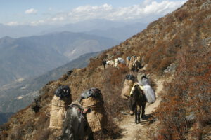 Trekking in Bhutan