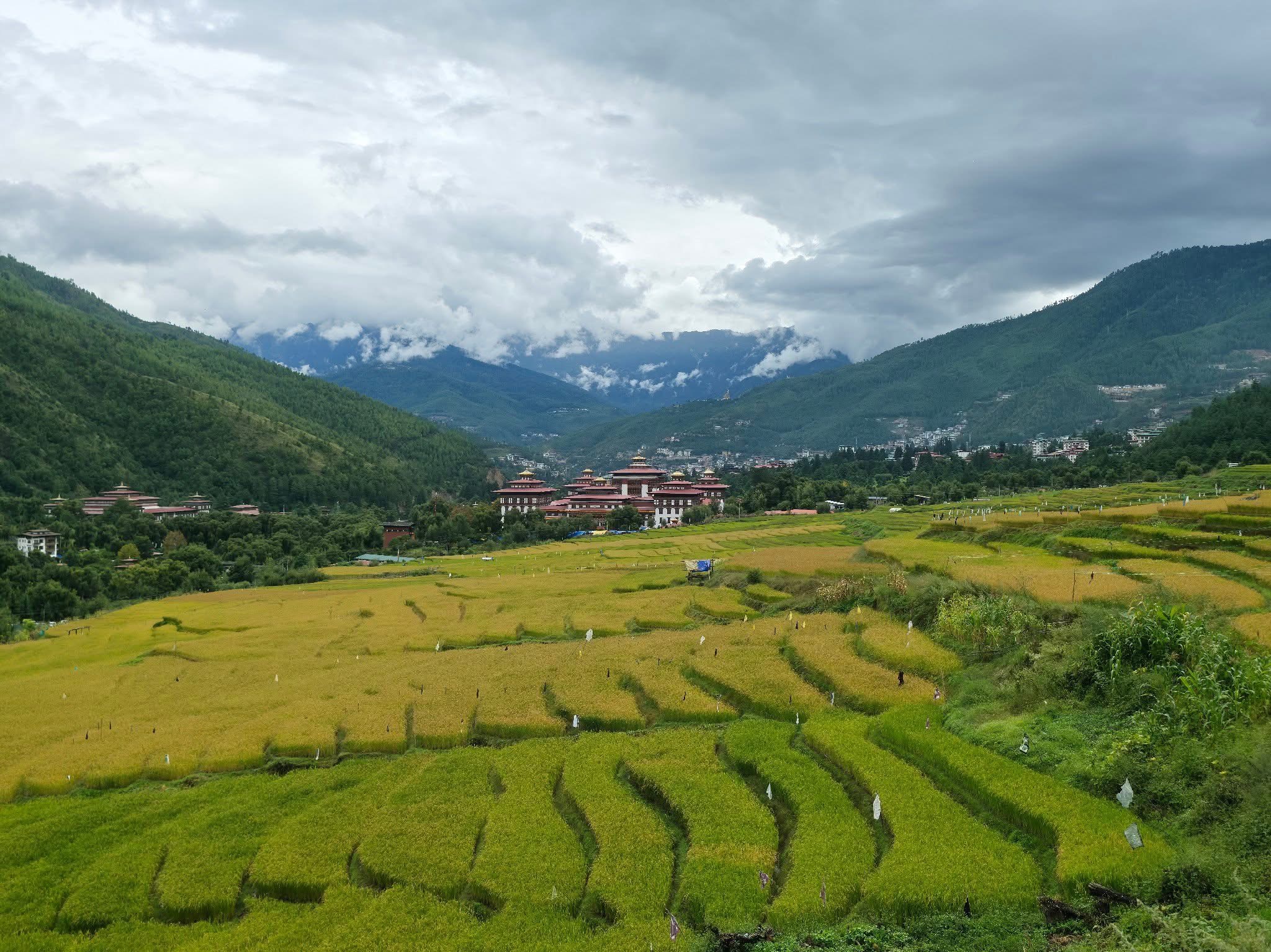 Plan your private Bhutan journey with Thunphel