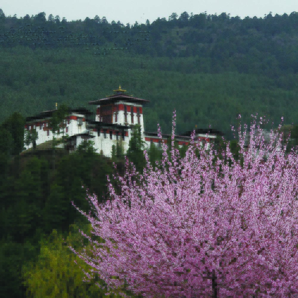 Jakar Dzong
