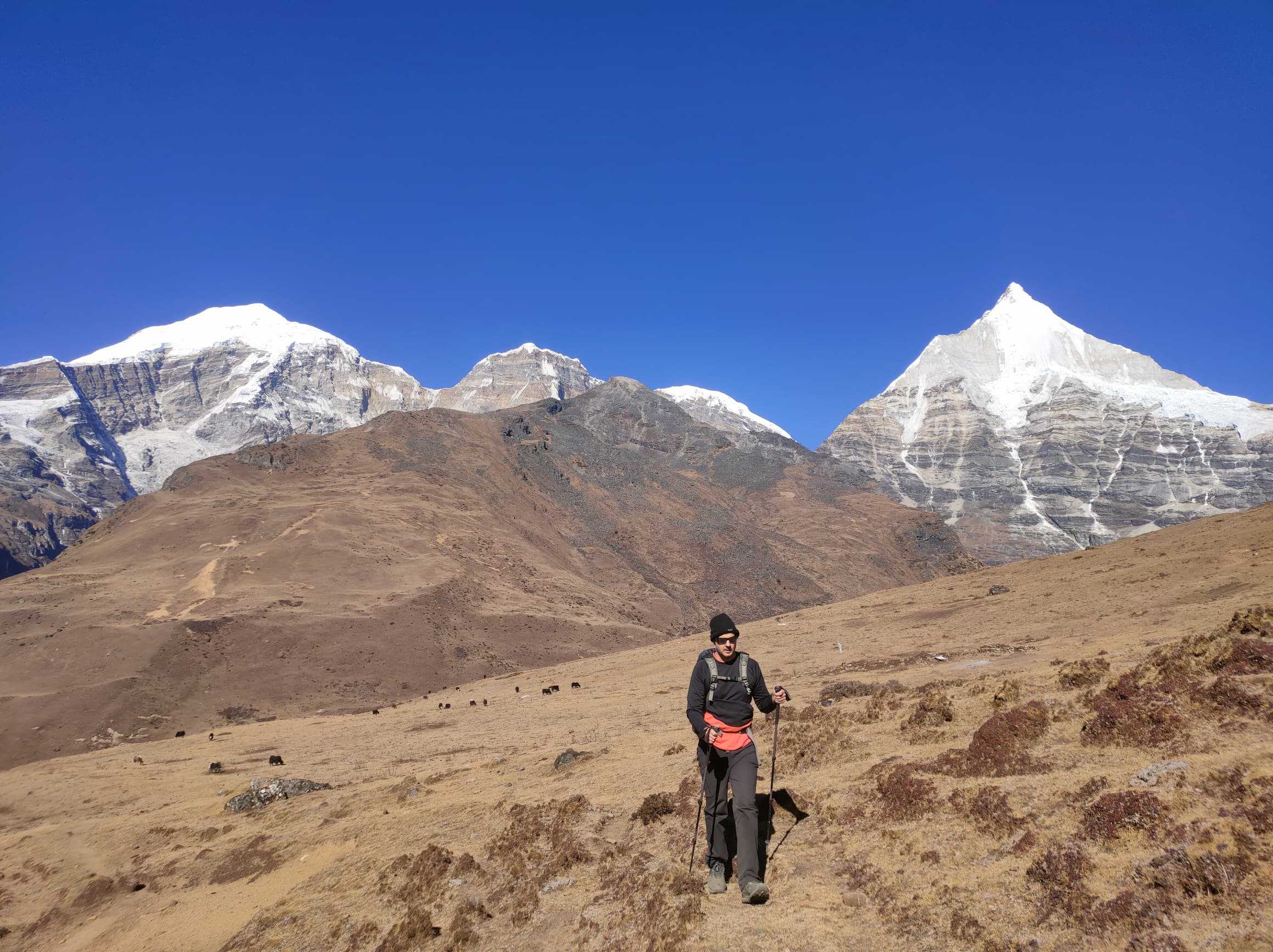 Travellers walking through a Bhutan valley